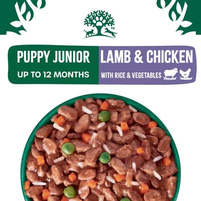 James Wellbeloved Puppy & Junior Hypoallergenic - Lamb & Chicken in Gravy  - Saver Pack: 48 x 90g