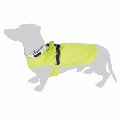 Gelber Hundemantel mit schwarzem verstellbarem Gurt und reflektierenden Streifen, geeignet für kleine bis mittelgrosse Hunde.