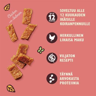 Chicken with Salmon. Soveltuu alle 12 kuukauden ikäisille koiranpennuille, herkullinen lihaisa maku, viljaton resepti, täynnä arvokasta proteiinia.