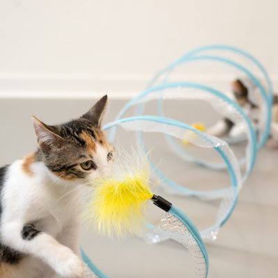 Игрушка для кошек: туннель с синим каркасом и сетчатым материалом, желтый мяч с перьями у входа. Кошка играет с игрушкой.