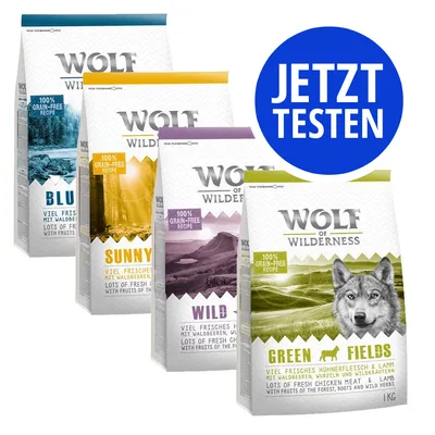 Wolf of Wilderness Trockenfutter: BLU, SUNNY, WILD, GREEN FIELDS. 100% grain-free recipe, viel frisches Fleisch, mit Waldbeeren. Jetzt testen. Wolf of Wilderness Trockenfutter: BLU, SUNNY, WILD, GREEN FIELDS. 100% grain-free recipe, viel frisches Fleisch, mit Waldbeeren. Jetzt testen.