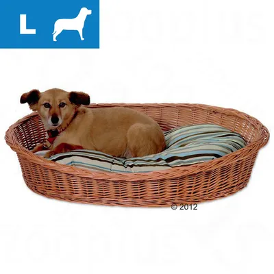 Panier pour chien en osier avec coussin rayé, taille L indiquée par une icône bleue en haut à gauche montrant un chien et la lettre L. Panier pour chien en osier avec coussin rayé, taille L indiquée par une icône bleue en haut à gauche montrant un chien et la lettre L.