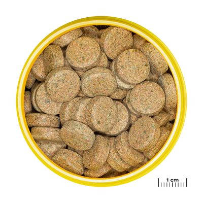 Runda bruna foderkapslar i gul burk, linjal nere till höger visar 1 cm för storleksjämförelse.