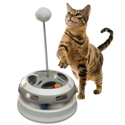 Chat tigré debout à côté d’un jouet interactif rond en plastique gris et blanc avec balle colorée à l’intérieur et tige à ressort surmontée d’un pompon blanc.