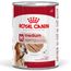 Royal Canin Medium Ageing Mousse 12 x 410 g