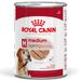 Royal Canin Medium Ageing Mousse 12 x 410 g