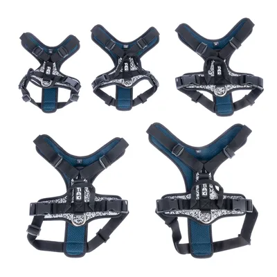 Cinq harnais pour chien de tailles différentes, marque TIAKI visible sur chaque harnais, couleur noire et bleue avec motifs blancs, sangles réglables en tissu et boucles en plastique.