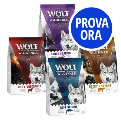 Quattro confezioni Wolf of Wilderness Elements: Fiery Volcanoes, Rough Storms, Rocky Canyons, Vast Oceans. Testo cerchio blu: PROVA ORA. Visibili nomi varianti e ingredienti principali.