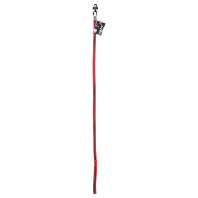 Rote Hundeleine mit schwarzem Karabinerhaken und Etikett, Länge sichtbar ca. 1 Meter. Rote Hundeleine mit schwarzem Karabinerhaken und Etikett, Länge sichtbar ca. 1 Meter.