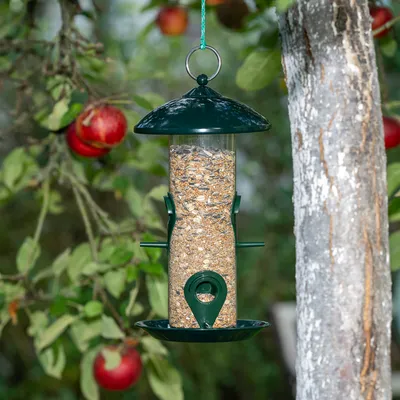 Grüne Vogelfutterstation mit transparentem Behälter, gefüllt mit Körnern und Samen, aufgehängt an einem Baum im Garten.