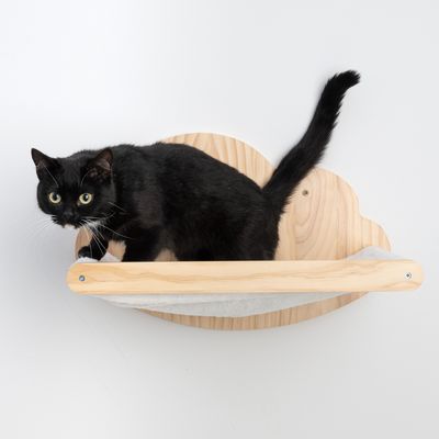 Schwarze Katze auf einer wandmontierten Holzablage in Wolkenform mit weissem Stoffbezug.