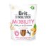 Brit Dental Stick Mobility z kurkumą i kolagenem 3 x 251 g (21 sztuk)