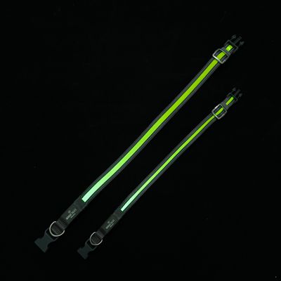 Deux colliers réfléchissants réglables, bandes vertes et boucles en plastique noir, anneau métallique visible sur chaque collier. Marquage 'Ring Line' lisible sur les fermetures.