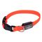 Collier en nylon Nomad Tales Spirit USB LED, orange pour chien – taille S : tour de cou 34–41 cm