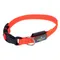 Nomad Tales Spirit USB LED Nylonhalsband, orange Grösse S: Halsumfang 34-41 cm