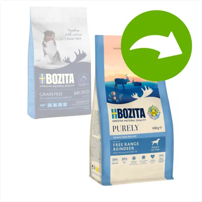 Bozita Purely Grain Free ricetta con renna allevata all'aperto, Adult Active, 650g. Proteine 30%, grassi 20%, umidità 74%. Qualità svedese dal 1903.