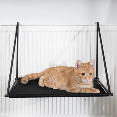 Katzenliege aus schwarzem Stoff mit Metallrahmen, montiert an einem Heizkörper. Rote Katze liegt entspannt darauf. Katzenliege aus schwarzem Stoff mit Metallrahmen, montiert an einem Heizkörper. Rote Katze liegt entspannt darauf.
