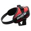 Arnés Julius-K9 IDC® Power rojo para perros XS: Contorno de pecho 40 - 53 cm