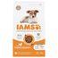 IAMS Advanced Nutrition Puppy Small / Medium Breed, kurczak 3 kg
