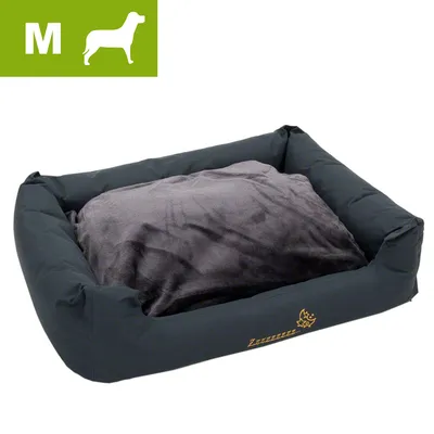 Hundeseng i sort stof med grå pude, størrelse M vist med hvidt M og hundesilhuet på grøn baggrund. Lille gul tegning af hund og poteaftryk på forsiden. Hundeseng i sort stof med grå pude, størrelse M vist med hvidt M og hundesilhuet på grøn baggrund. Lille gul tegning af hund og poteaftryk på forsiden.