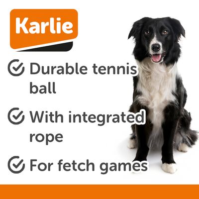 Sárga teniszlabda mancslenyomattal és rögzített sárga zsinórral, alkalmas dobó- és húzós játékokra.