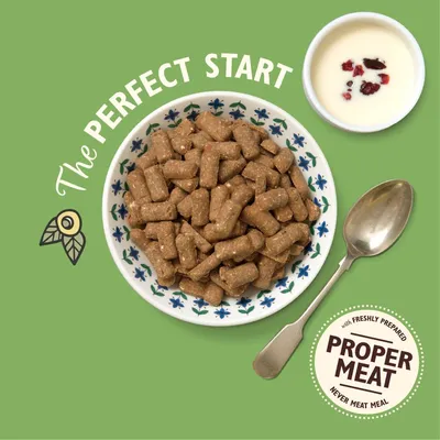 Bowl of kibble with spoon, small dish of creamy food with dried berries, text reads 'The Perfect Start' and 'Proper Meat with freshly prepared, never meat meal'.