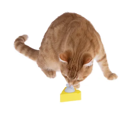 Red cat playing with yellow cheese-shaped toy containing a grey mouse.