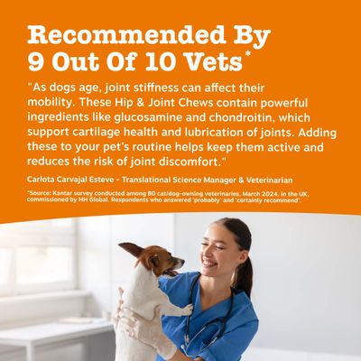 Priporočajo 9 od 10 veterinarjev. Hip & Joint Chews podpirajo zdravje sklepov z glukozaminom in hondroitinom ter zmanjšujejo tveganje za težave s sklepi.