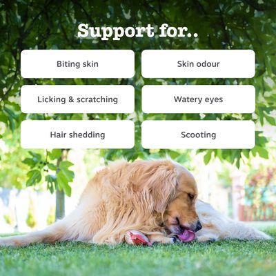 Zesty Paws Omega Skin & Coat Salmon