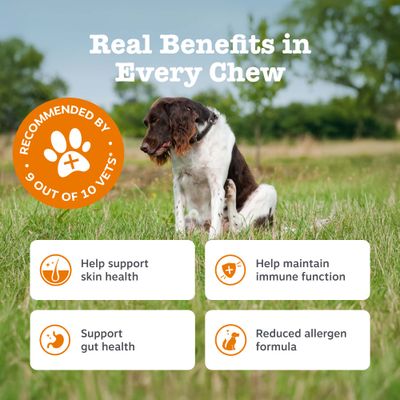 Zesty Paws Senior Aller-Immune Chews salmón