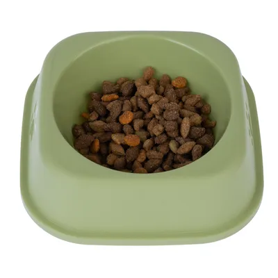 Vihreä ruokakuppi, täytetty ruskeilla ja oransseilla kuivaruokapaloilla.