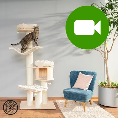 Przycisk odtwarzania wideo. Kliknij tutaj, aby obejrzeć film prezentujący drapak dla kota z legowiskami i słupkami sizalowymi. Przycisk odtwarzania wideo. Kliknij tutaj, aby obejrzeć film prezentujący drapak dla kota z legowiskami i słupkami sizalowymi.