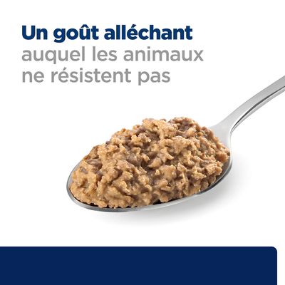 Un goût alléchant auquel les animaux ne résistent pas. Texte en haut de l’image, avec une cuillère contenant de la pâtée pour animaux visible en dessous.