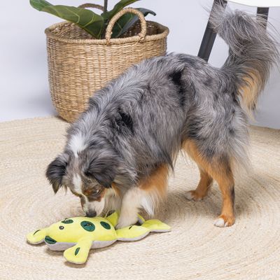 Chien à poil long gris et noir jouant avec une peluche jaune en forme de grenouille sur un tapis rond en jute, panier en osier et plante en arrière-plan.