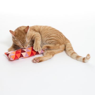 Red cat playing with a colourful fabric toy in a geometric pattern.