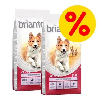 Dos sacos de pienso Briantos Adult 14 kg con imagen de perro y familia, iconos de salmón y arroz, cuidado dental, alta tolerancia, hecho en Alemania. Símbolo de porcentaje amarillo.