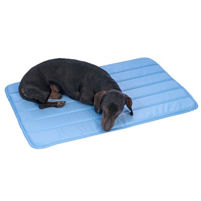 Σκύλος ξαπλωμένος σε μπλε, καπιτονέ ψυκτικό στρώμα.