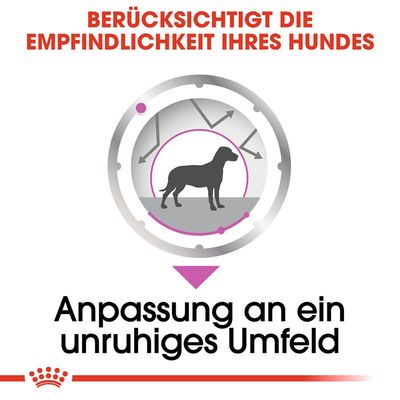 Texte en allemand : 'Berücksichtigt die Empfindlichkeit Ihres Hundes. Anpassung an ein unruhiges Umfeld' avec silhouette de chien et flèches autour.