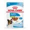 Royal Canin X-Small Puppy in Gravy 12 x 85g