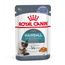 Royal Canin FCN Hairball Care in Gelatina umido gatto 12 x 85 g