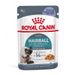 Royal Canin FCN Hairball Care in Gelatina umido gatto 12 x 85 g