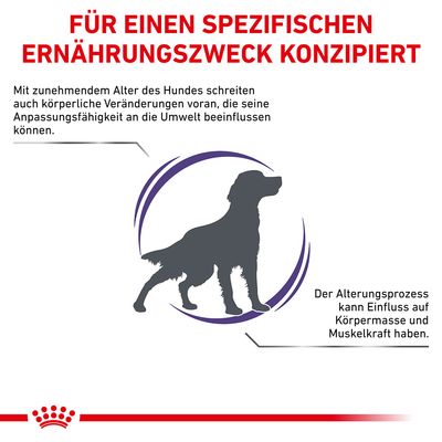 Für einen spezifischen Ernährungszweck konzipiert. Mit zunehmendem Alter des Hundes körperliche Veränderungen, die Anpassungsfähigkeit beeinflussen können. Einfluss auf Körpermasse und Muskelkraft.