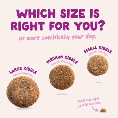 Edgard & Cooper Kleine Puppy Eend & Kip graanvrij