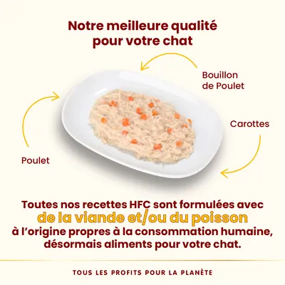 Lot Almo Nature HFC Complete 24 x 70 g - poulet, carottes
