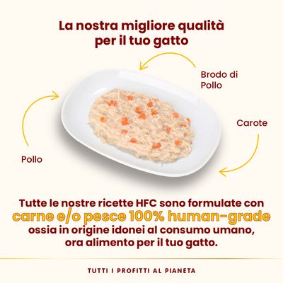 Almo Nature HFC Complete 12 x 70 g Alimento umido per gatto