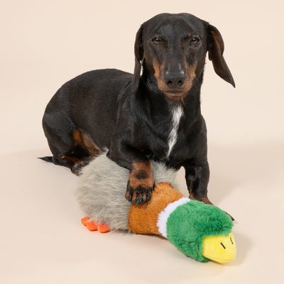 Gioco per cani TIAKI Anatra "Squawk"
