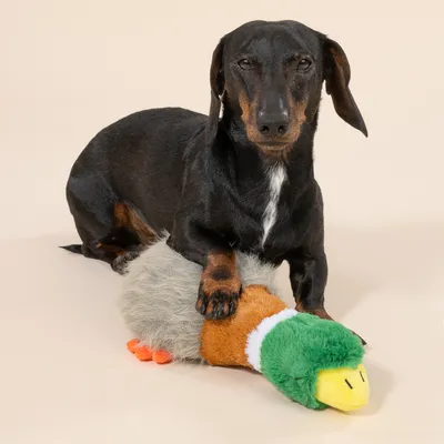 TIAKI "Squawk" Duck Dog Toy - 32 x 14 x 14cm (L x W x H)