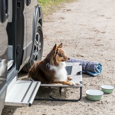 Chien allongé sur un lit pour chien pliant en tissu avec structure métallique, deux gamelles vertes et une couverture roulée posées à côté d’un véhicule.