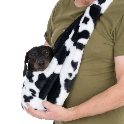 Petit chien noir et marron porté dans un sac bandoulière en fausse fourrure noire et blanche, tenu par une personne en t-shirt kaki. Sac à motif vache visible.