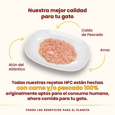 Atún del Atlántico, caldo de pescado y arroz en plato. Texto: recetas HFC hechas con carne y/o pescado 100% aptos para consumo humano, ahora comida para tu gato.